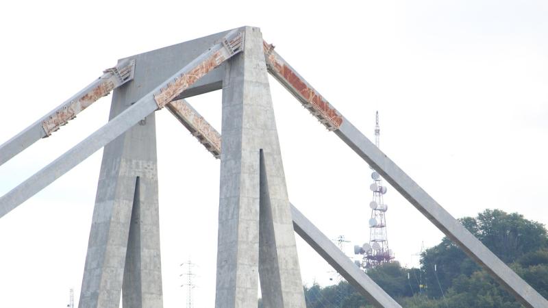 Image by mattia rainieri on Pixabay